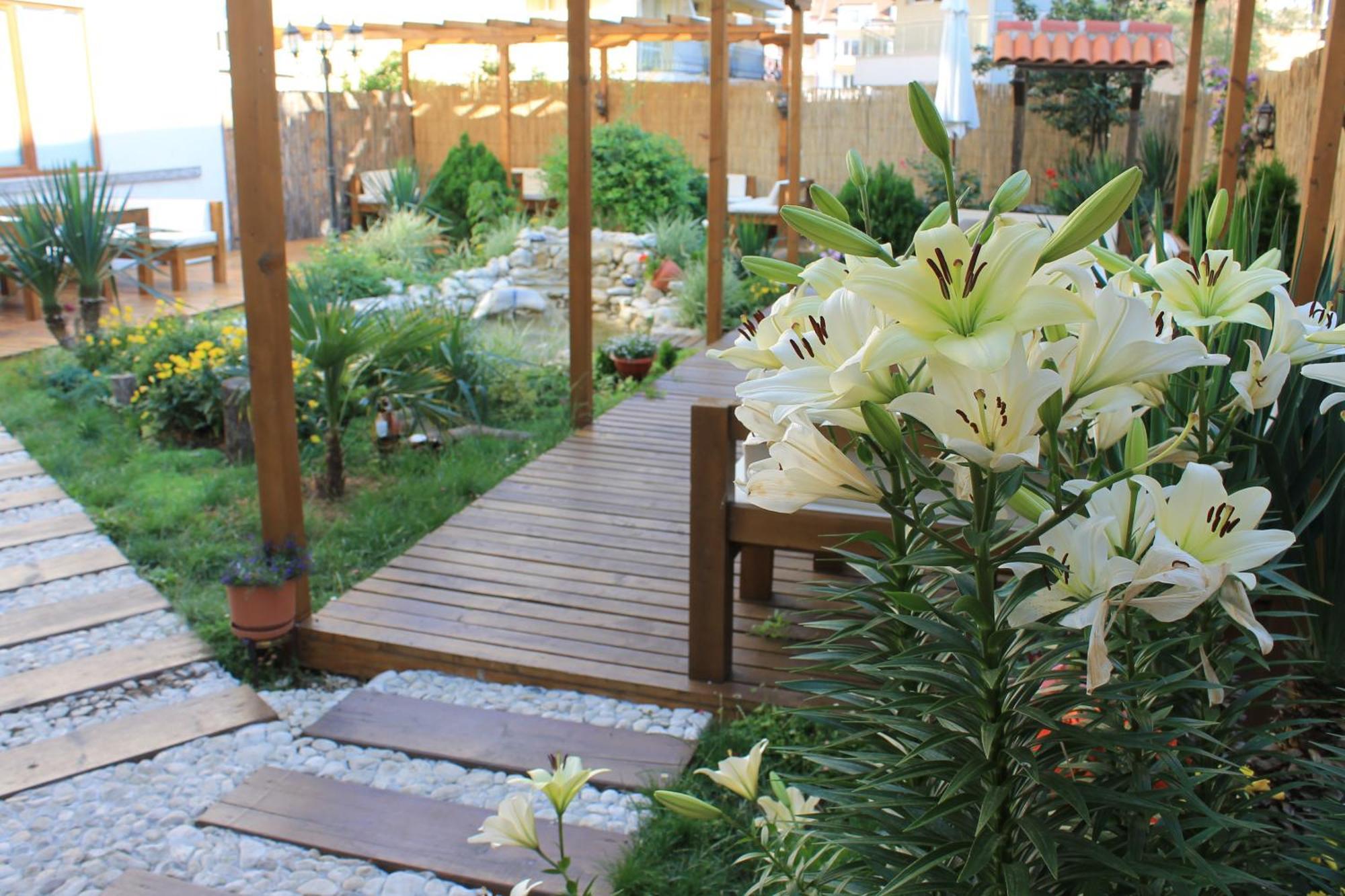 Hotel Yanis Lozenets Εξωτερικό φωτογραφία